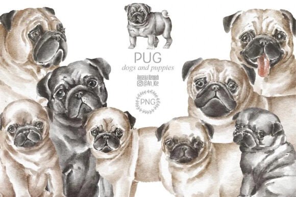 Pugs Dogs Puppies Christmas Halloween Illustrations Review